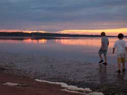 PEI Clamming